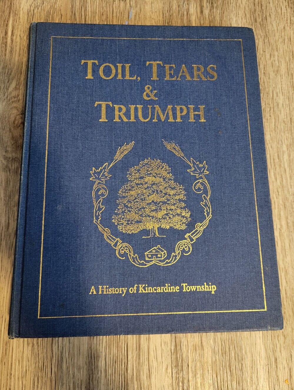 Toil, Tears & Triumph - Blue Hardcover History Book